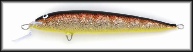 Pielisen Moniv&auml;ri