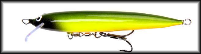 Mustaposki papukaija