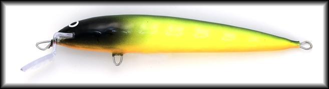 Mustaposki papukaija