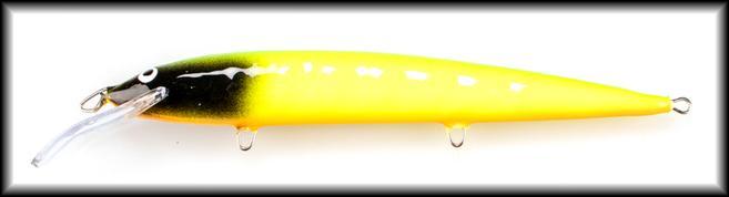 Mustaposki papukaija