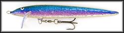 Coho Blue